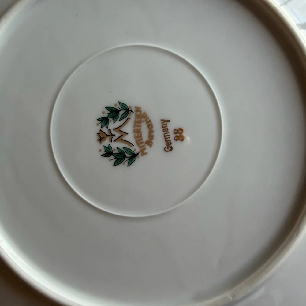 Mitterteich Bavaria Elegant Fruit Design Plate with Gold Rim Germany